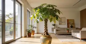 Foto: (Imagem sem texto alternativo disponivel ID [2676120])