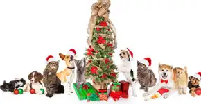 Árvores de natal mais engraçadas e criativas de quem tem bichos