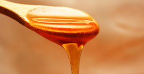 Descubra o segredo do alimento que dura para sempre e traz benefícios à saúde