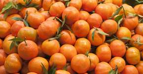 Turbina imunidade, melhora digestão: veja os benefícios da tangerina