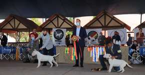 Foto: (Imagem sem texto alternativo disponivel ID [2189661])