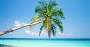 Dez curiosidades sobre o México, adversário do Brasil na Copa