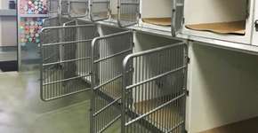 Foto: (Imagem sem texto alternativo disponivel ID [1147649])