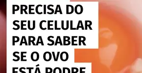 Você pode descobrir se o ovo está estragado usando apenas o celular