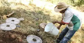Vaso biodegradável abastece de água e protege mudas em solo árido
