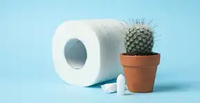 Estes 10 alimentos ajudam a piorar hemorroidas