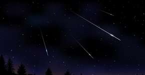 Foto: (Olga Beliaeva/iStock)