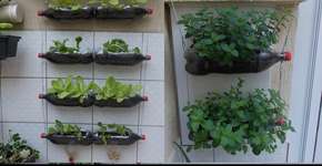 Aprenda a fazer a horta de garrafa PET