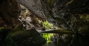 Foto: (C. R. Malaquias/Wikimedia Commons)