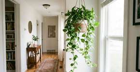 Foto: (Imagem sem texto alternativo disponivel ID [2786596])