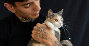 Motivos surpreendentes que mostram por que homens com gatos são parceiros ideais