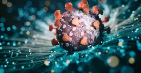 Foto: (koto_feja/istock)