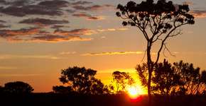 Parque da Chapada dos Veadeiros abre para visitação noturna