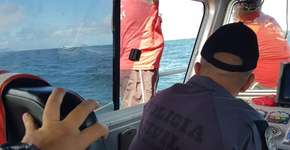 Foto: (Imagem sem texto alternativo disponivel ID [1926590])