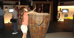 Exposição de Fotos: O Animal Mais Forte do Mundo