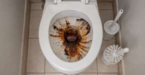 Foto: (Imagem sem texto alternativo disponivel ID [2690660])