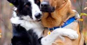 Foto: (Imagem sem texto alternativo disponivel ID [1020788])