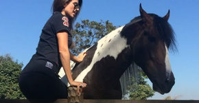 Foto: (Imagem sem texto alternativo disponivel ID [1129203])