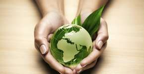 Ministério do Meio Ambiente oferece cursos online gratuitos