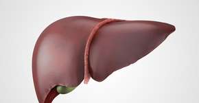 Foto: (eranicle/istock)