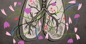 Foto: (Dusan Stankovic/istock)