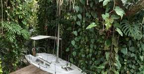 Veleiro estacionado na mata vira quarto em hostel de Ilhabela