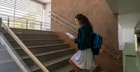 Foto: (Divulgação/IEL)