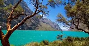 Foto: (Divulgação)