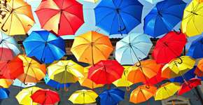 Foto: (Imagem sem texto alternativo disponivel ID [574030])