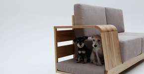 Foto: (Imagem sem texto alternativo disponivel ID [567952])