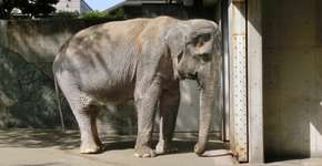 Foto: (Imagem sem texto alternativo disponivel ID [1869520])