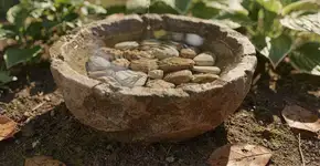 Quem tiver um bebedouro para pássaros no quintal é incentivado a adicionar um item natural especial a ele