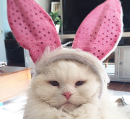 Reprodução / Instagram