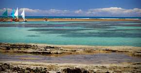 Foto: (Getty Images/iStockphoto)