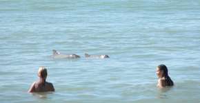 Foto: (Imagem sem texto alternativo disponivel ID [1868740])