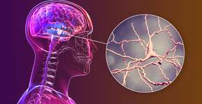 Foto: (Dr_Microbe/istock)