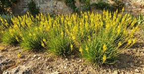 Foto: (Imagem sem texto alternativo disponivel ID [2786930])