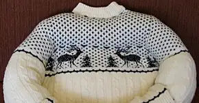 Aprenda a transformar um moletom velho em cama para cachorro