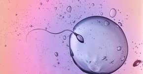 Estudo aponta melhor momento do dia para engravidar