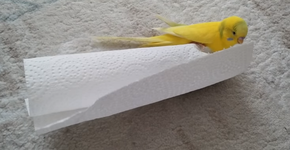 Foto: (Imagem sem texto alternativo disponivel ID [1021363])