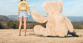 Foto: (Imagem sem texto alternativo disponivel ID [1056871])