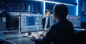 Foto: (gorodenkoff/iStock)