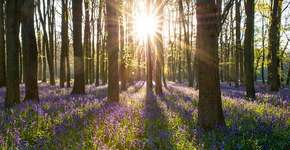 Contação de histórias