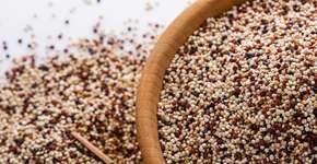 Foto: (iStock/Andrii Pohranychnyi)