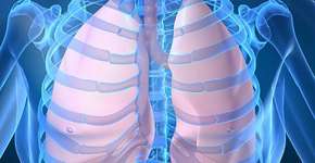 Empresa cria pulmão artificial para estudar efeitos da poluição