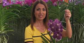 Foto: (Imagem sem texto alternativo disponivel ID [1541636])