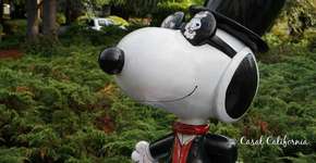 Foto: (Imagem sem texto alternativo disponivel ID [869282])