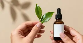 7 benefícios do chá verde para transformar sua pele