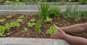 Foto: (Imagem sem texto alternativo disponivel ID [1850355])