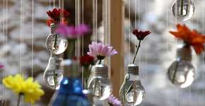 Foto: (Imagem sem texto alternativo disponivel ID [1020844])